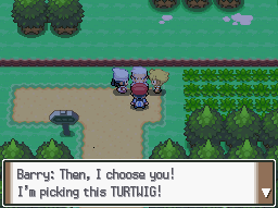 Pokemon Platinum Rival Pick