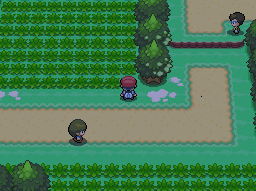 Pokemon Platinum Route 201 exit