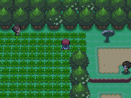 Pokemon Platinum Dawn Entrance