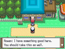 Pokemon Platinum Sandgem Market