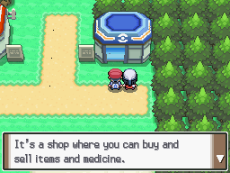 Pokemon Platinum Route 201 Entrance