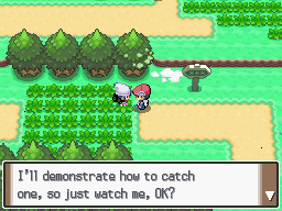 Pokemon Platinum Pokemon Catch