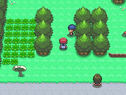 Pokemon Platinum Bushes