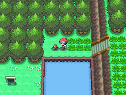 Pokemon Platinum Oreburgh Tunnel